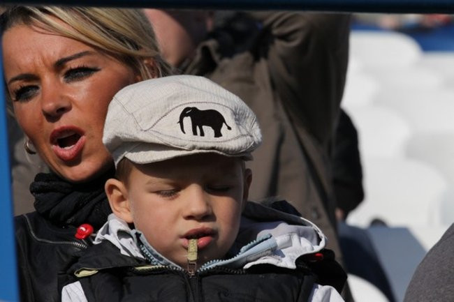 Quady na Smoczyku (zdjęcia)