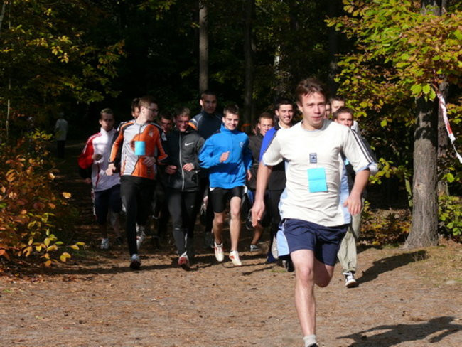 Biegiem przez las (zdjęcia)