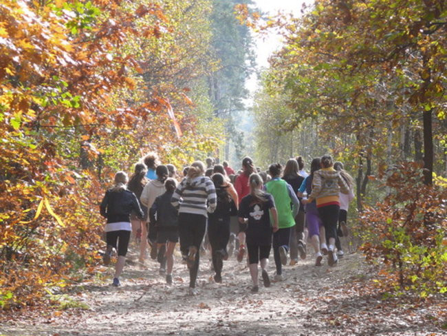 Biegiem przez las (zdjęcia)