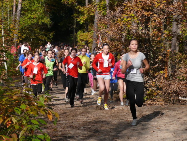 Biegiem przez las (zdjęcia)