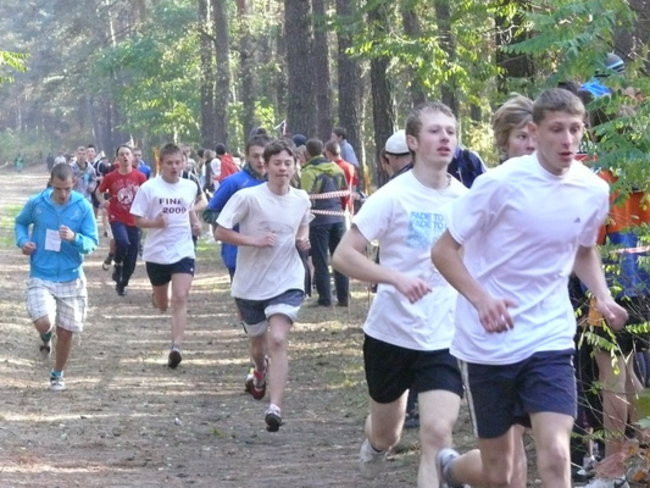 Biegiem przez las (zdjęcia)