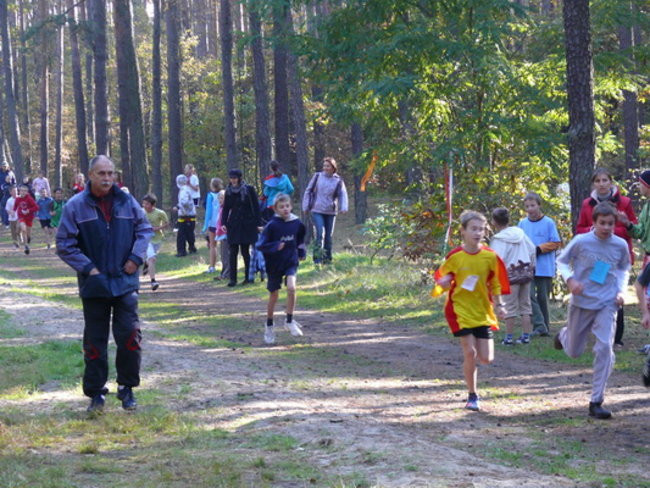 Biegiem przez las (zdjęcia)