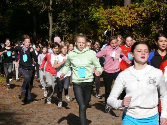 Biegiem przez las (zdjęcia)