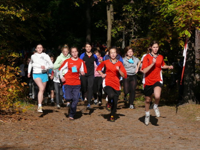 Biegiem przez las (zdjęcia)