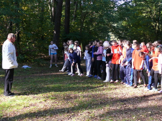 Biegiem przez las (zdjęcia)