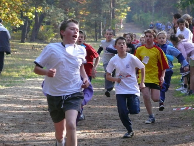 Biegiem przez las (zdjęcia)