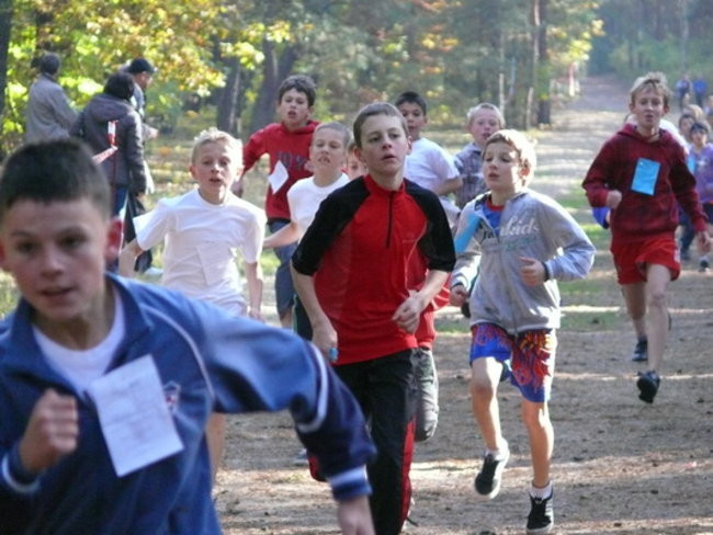 Biegiem przez las (zdjęcia)