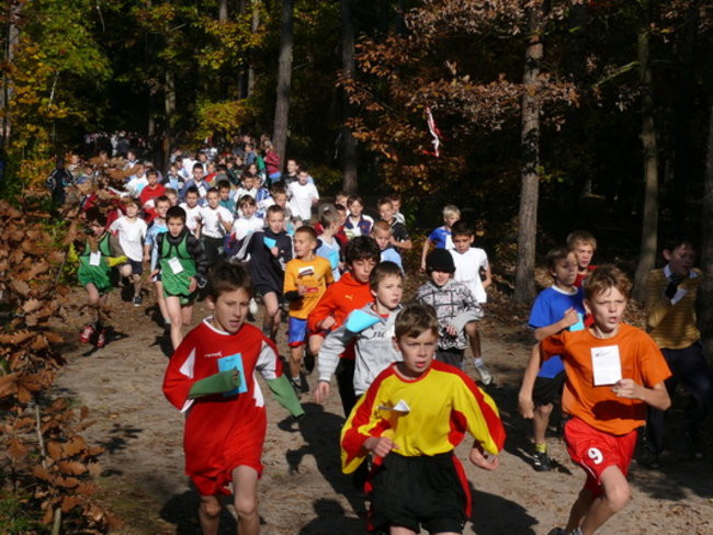 Biegiem przez las (zdjęcia)