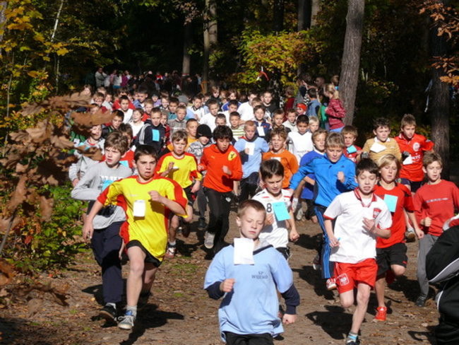 Biegiem przez las (zdjęcia)