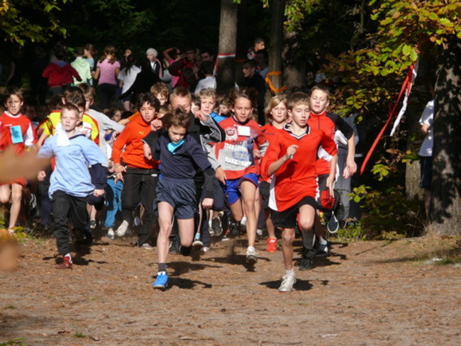 Biegiem przez las (zdjęcia)