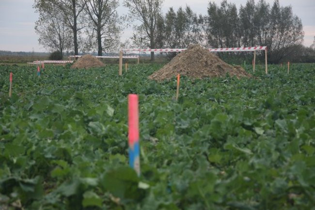 Rozpoczęła się budowa trasy S5 (zdjęcia)