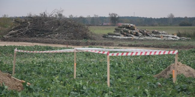 Rozpoczęła się budowa trasy S5 (zdjęcia)