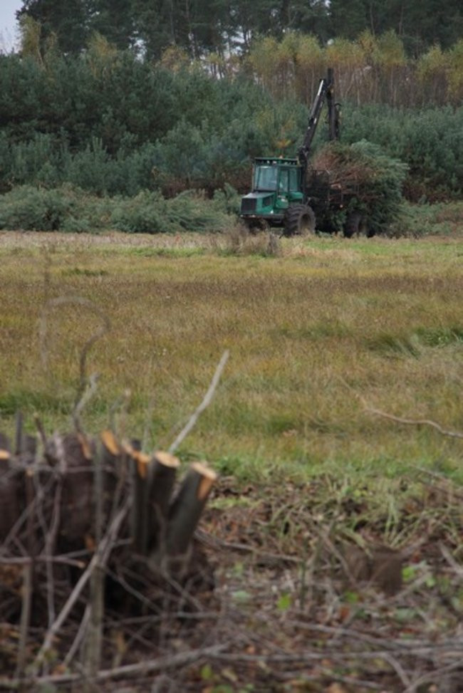 Rozpoczęła się budowa trasy S5 (zdjęcia)