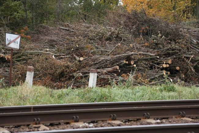 Rozpoczęła się budowa trasy S5 (zdjęcia)