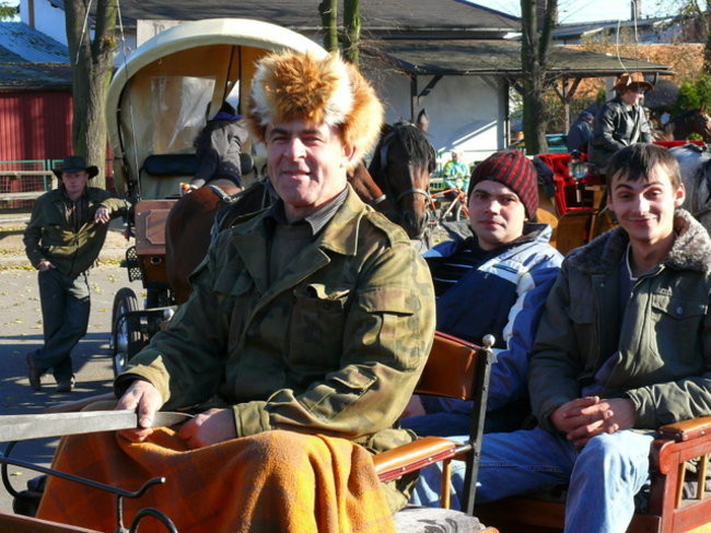 Za lisem w Bukówcu (zdjęcia)