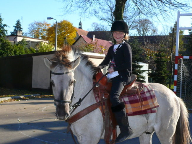 Za lisem w Bukówcu (zdjęcia)