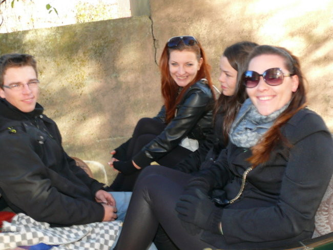 Za lisem w Bukówcu (zdjęcia)