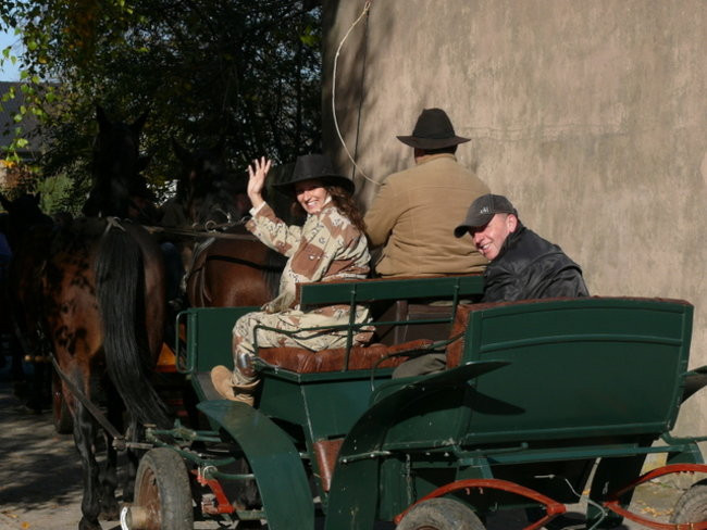 Za lisem w Bukówcu (zdjęcia)