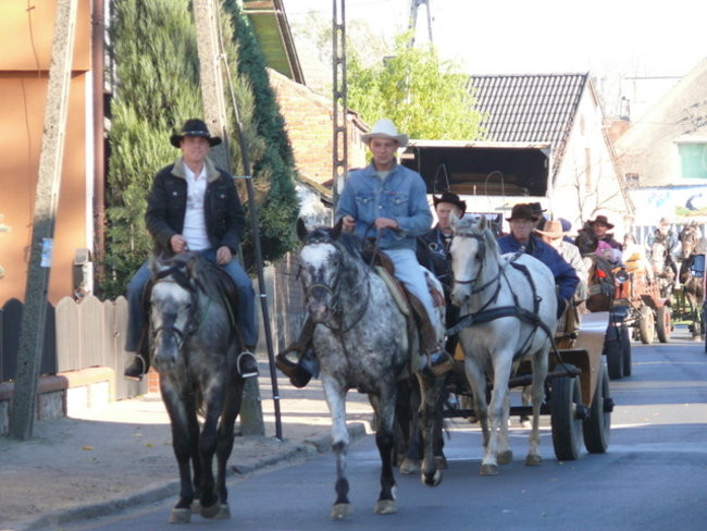 Za lisem w Bukówcu (zdjęcia)