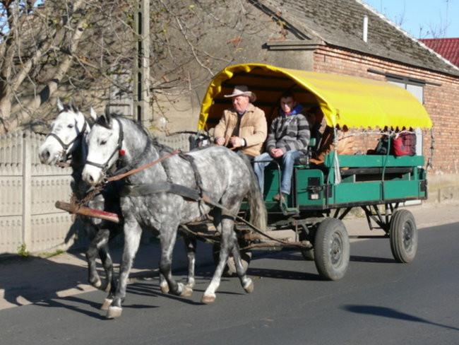 Za lisem w Bukówcu (zdjęcia)