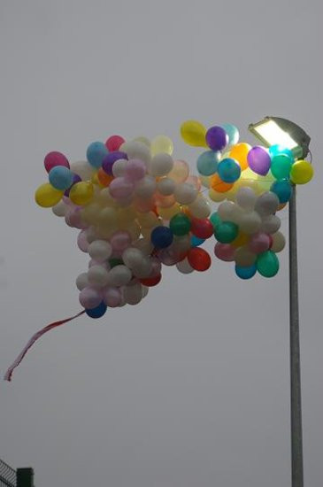 Pierwszy Orlik w Wijewie (zdjęcia)