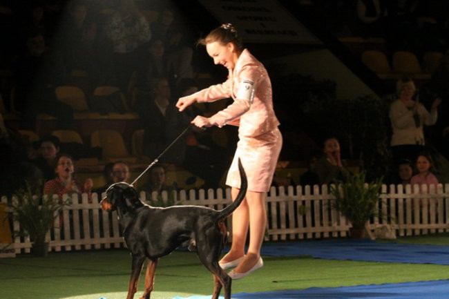 Jubileuszowa wystawa psich championów (zdjęcia)