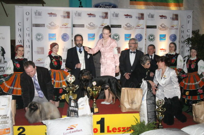 Jubileuszowa wystawa psich championów (zdjęcia)