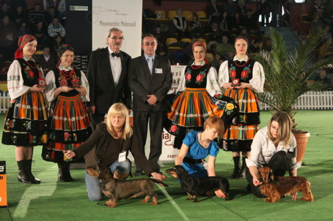 Jubileuszowa wystawa psich championów (zdjęcia)