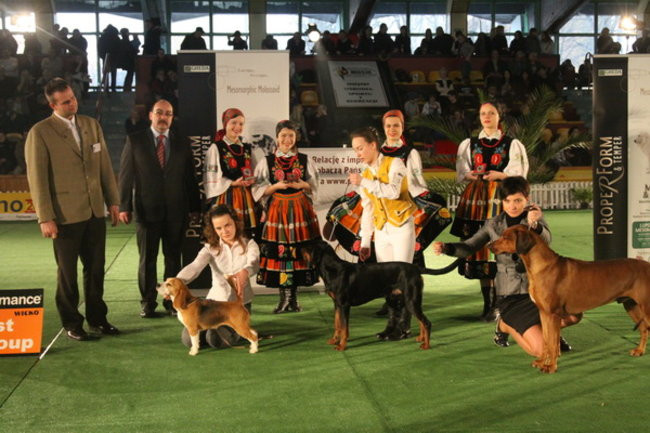 Jubileuszowa wystawa psich championów (zdjęcia)