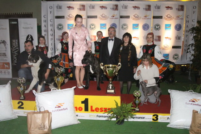 Jubileuszowa wystawa psich championów (zdjęcia)
