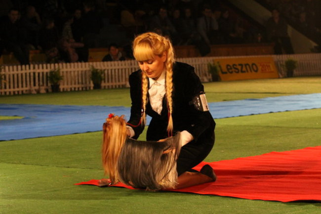 Jubileuszowa wystawa psich championów (zdjęcia)