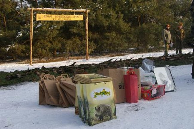 Ale sztuki! (zdjęcia)