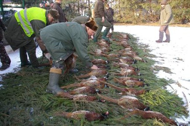 Ale sztuki! (zdjęcia)