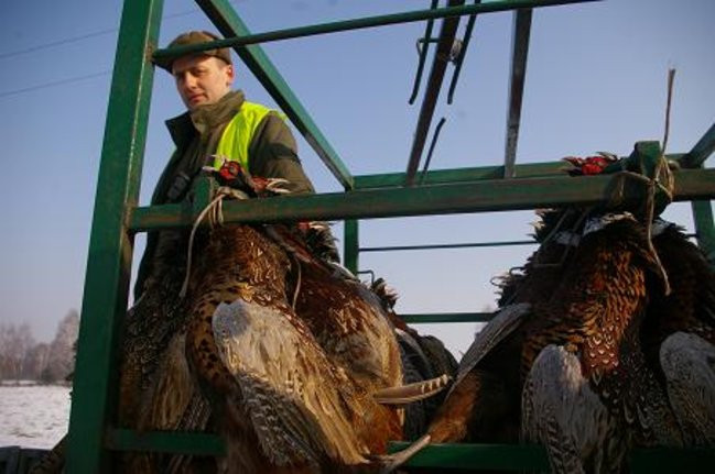 Ale sztuki! (zdjęcia)