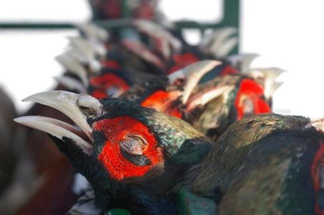 Ale sztuki! (zdjęcia)