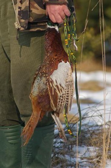 Ale sztuki! (zdjęcia)