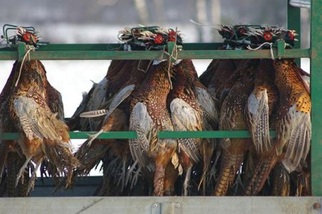 Ale sztuki! (zdjęcia)