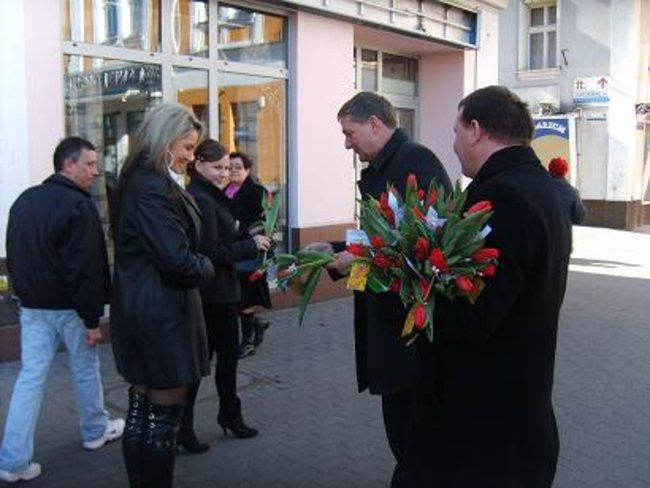 400 czerwonych tulipanów (kilka zdjęć)