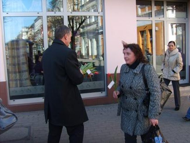 400 czerwonych tulipanów (kilka zdjęć)