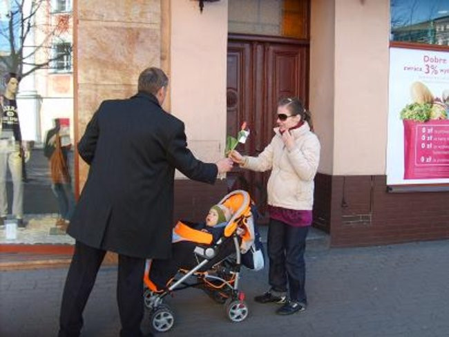 400 czerwonych tulipanów (kilka zdjęć)