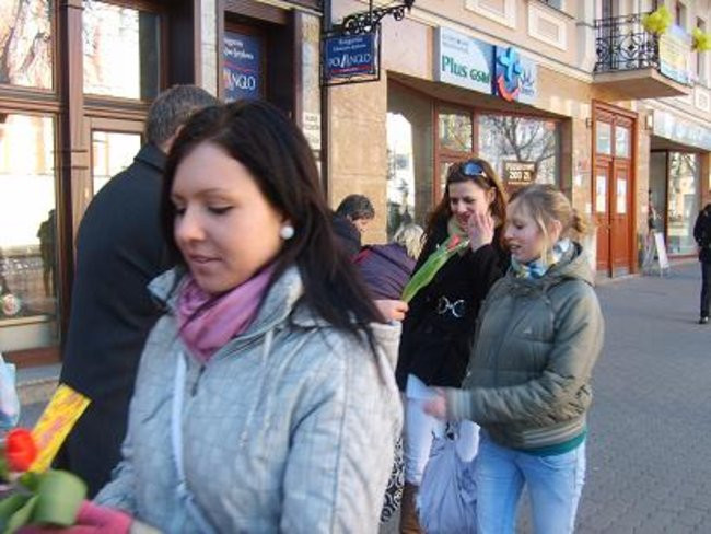 400 czerwonych tulipanów (kilka zdjęć)