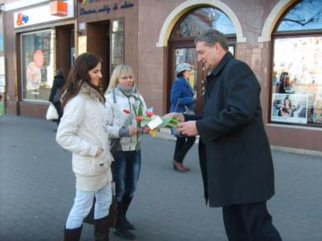 400 czerwonych tulipanów (kilka zdjęć)