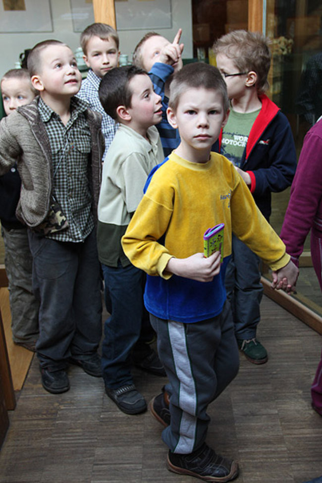 Piękne ilustracje i dziecięce kompozycje (zdjecia)