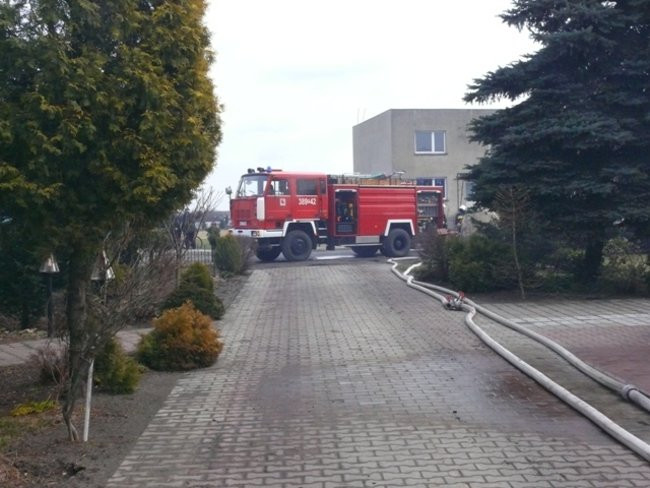Pożar chlewni w Święciechowie