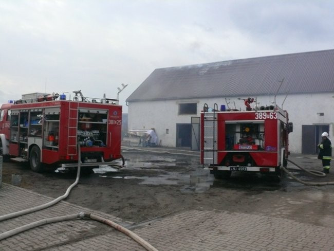 Pożar chlewni w Święciechowie