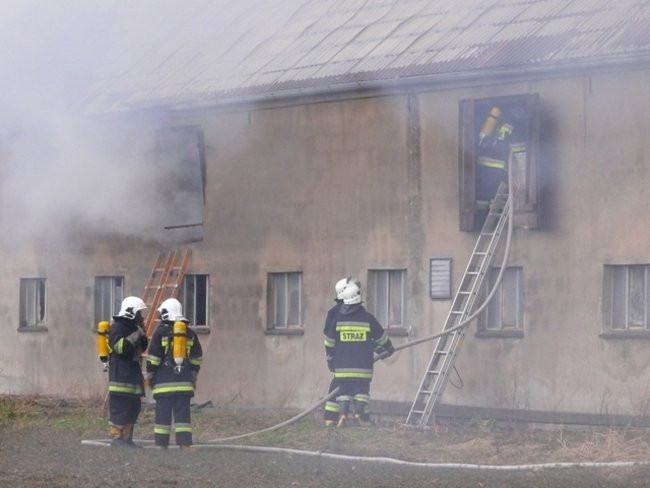 Pożar chlewni w Święciechowie