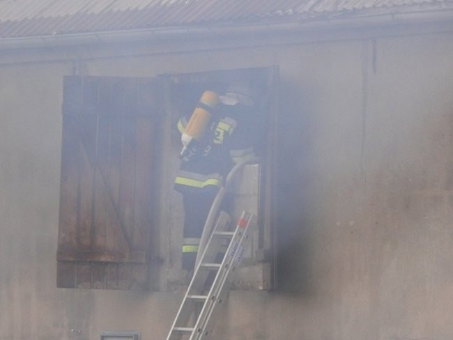 Pożar chlewni w Święciechowie