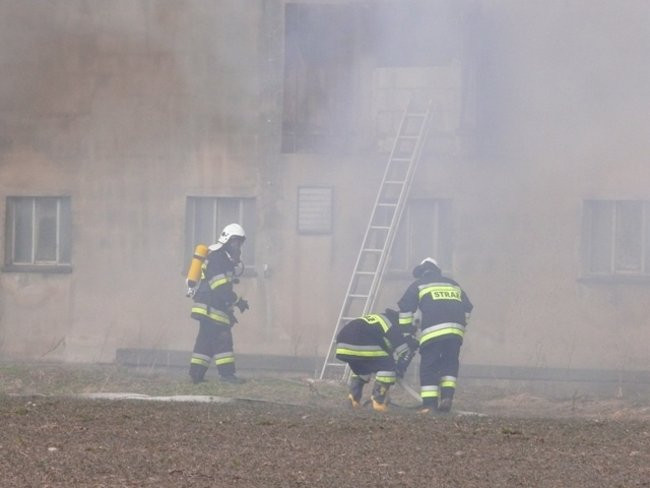 Pożar chlewni w Święciechowie
