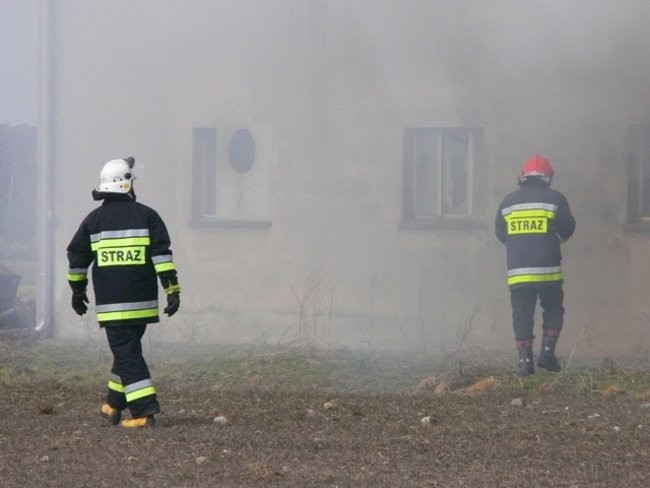 Pożar chlewni w Święciechowie