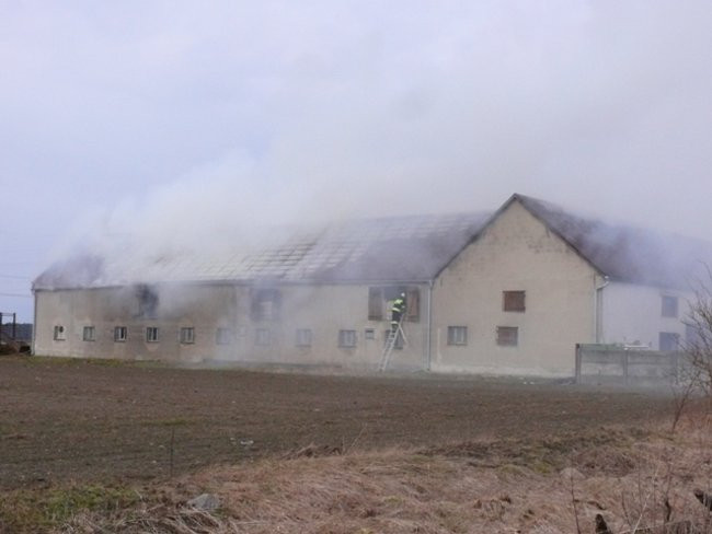 Pożar chlewni w Święciechowie